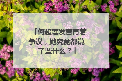 何超莲发言再惹争议，她究竟都说了些什么？