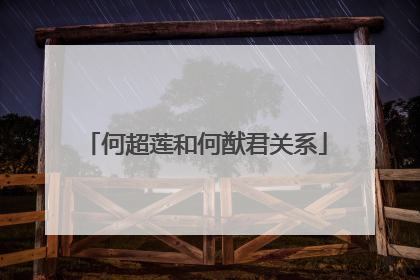 何超莲和何猷君关系