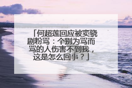 何超莲回应被窦骁剧粉骂:个别为骂而骂的人伤害不到我,这是怎么回事?