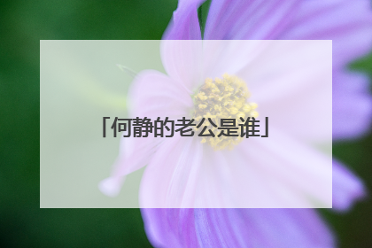 何静的老公是谁