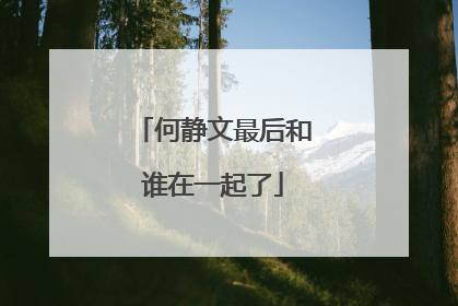 何静文最后和谁在一起了