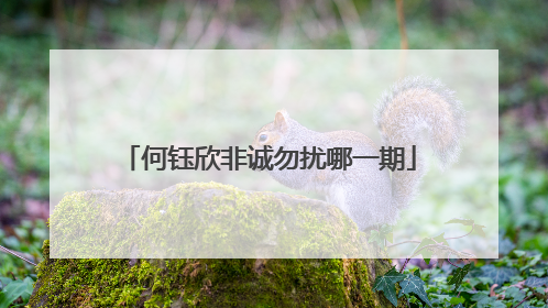 何钰欣非诚勿扰哪一期