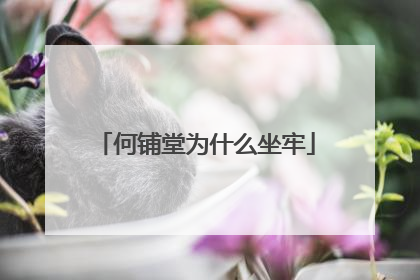 何铺堂为什么坐牢