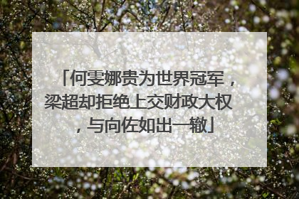 何雯娜贵为世界冠军，梁超却拒绝上交财政大权，与向佐如出一辙