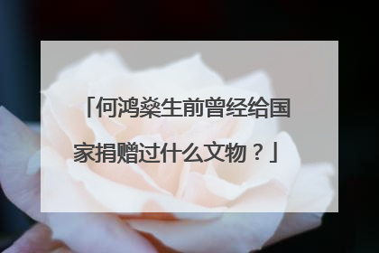 何鸿燊生前曾经给国家捐赠过什么文物？