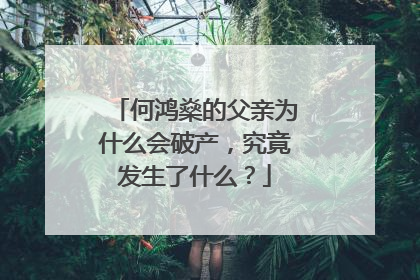 何鸿燊的父亲为什么会破产,究竟发生了什么?