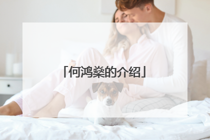 何鸿燊的介绍