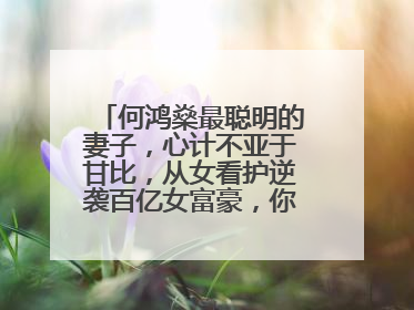 何鸿燊最聪明的妻子,心计不亚于甘比,从女看护逆袭百亿女富豪,你怎么看?