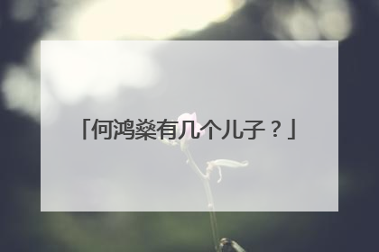 何鸿燊有几个儿子？