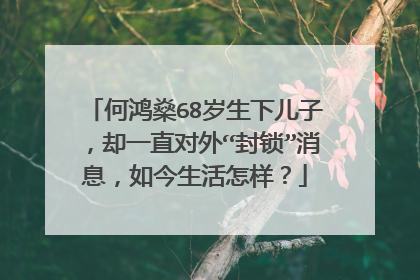 何鸿燊68岁生下儿子,却一直对外“封锁”消息,如今生活怎样?