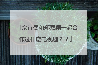 佘诗曼和郑嘉颖一起合作过什麽电视剧？？