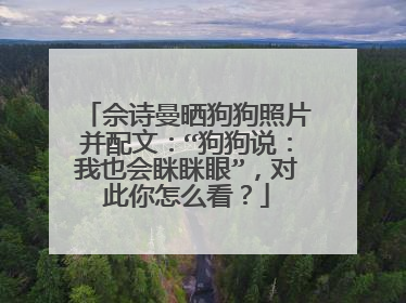 佘诗曼晒狗狗照片并配文：“狗狗说：我也会眯眯眼”，对此你怎么看？