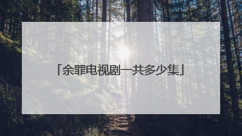 余罪电视剧一共多少集