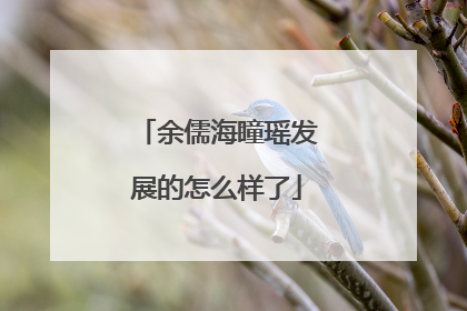 余儒海瞳瑶发展的怎么样了