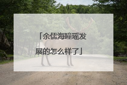 余儒海瞳瑶发展的怎么样了