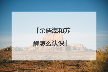 余儒海和苏醒怎么认识