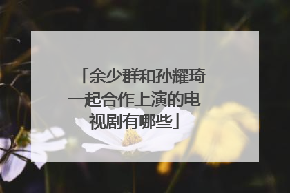 余少群和孙耀琦一起合作上演的电视剧有哪些