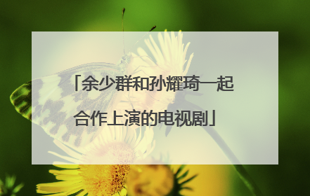 余少群和孙耀琦一起合作上演的电视剧
