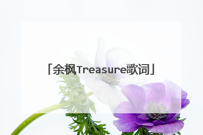 余枫Treasure歌词