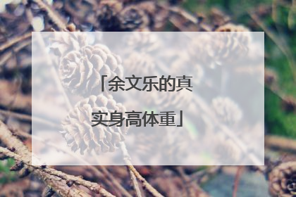 余文乐的真实身高体重