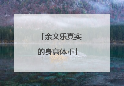 余文乐真实的身高体重