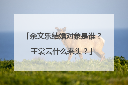 余文乐结婚对象是谁？ 王裳云什么来头？