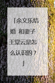 余文乐结婚 和妻子王棠云是怎么认识的?
