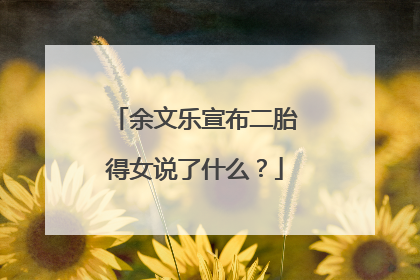 余文乐宣布二胎得女说了什么？