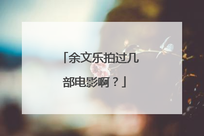 余文乐拍过几部电影啊?