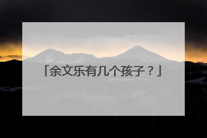 余文乐有几个孩子？