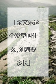 余文乐这个发型叫什么,刘海要多长