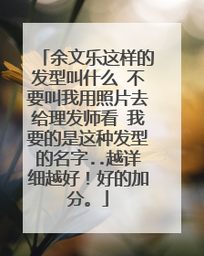余文乐这样的发型叫什么 不要叫我用照片去给理发师看 我要的是这种发型的名字..越详细越好!好的加分。