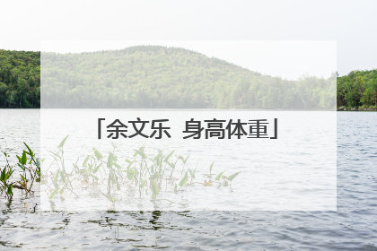 余文乐 身高体重