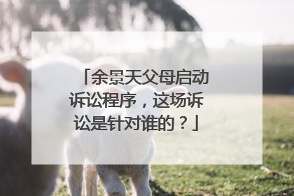 余景天父母启动诉讼程序，这场诉讼是针对谁的？