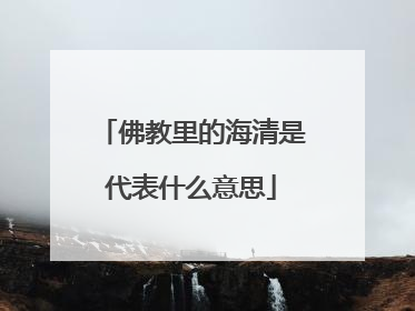 佛教里的海清是代表什么意思