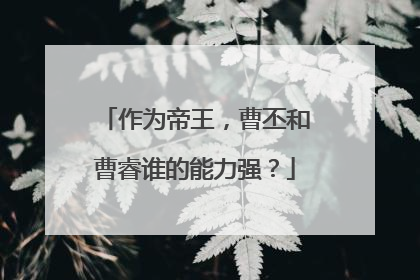 作为帝王,曹丕和曹睿谁的能力强?