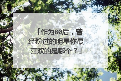 作为80后，曾经粉过的明星你最喜欢的是哪个？