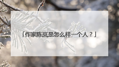 作家陈岚是怎么样一个人?