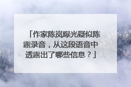 作家陈岚曝光疑似陈露录音,从这段语音中透露出了哪些信息?