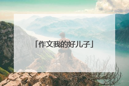 作文我的好儿子