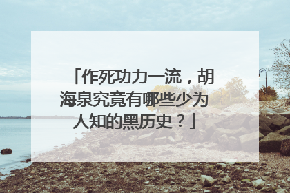 作死功力一流,胡海泉究竟有哪些少为人知的黑历史?