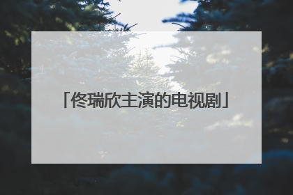 佟瑞欣主演的电视剧