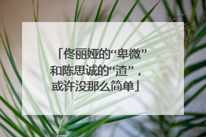 佟丽娅的“卑微”和陈思诚的“渣”,或许没那么简单