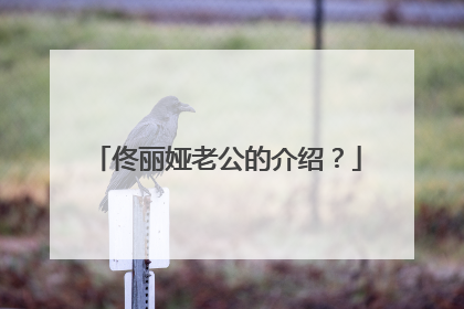 佟丽娅老公的介绍?