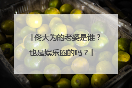 佟大为的老婆是谁？也是娱乐圈的吗？