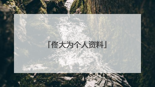 佟大为个人资料