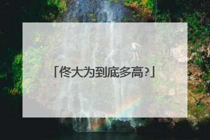 佟大为到底多高?