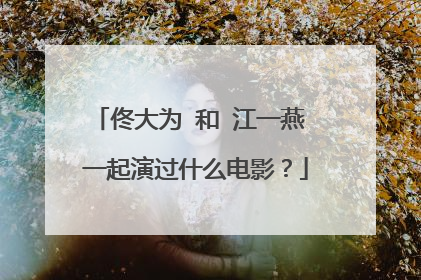 佟大为 和 江一燕 一起演过什么电影?