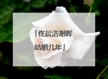 佟晨洁谢晖结婚几年