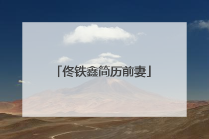 佟铁鑫简历前妻